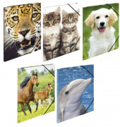 Eckspannmappe Sortiment Motiv-Sammelmappe A4 PP 7147, A4 Motiv sortiert Polypropylen (PP), mit 3 Einschlagklappen