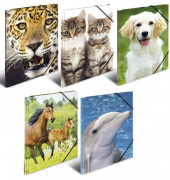 Eckspannmappe Sortiment Motiv-Sammelmappe A3 PP 7148, A3 Motiv sortiert Polypropylen (PP), mit 3 Einschlagklappen