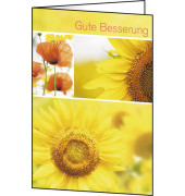 weitere Grußkarten Genesung DS047 115mm x 170mm (BxH) 220g Gute Besserung farbig Glanzkarton FSC