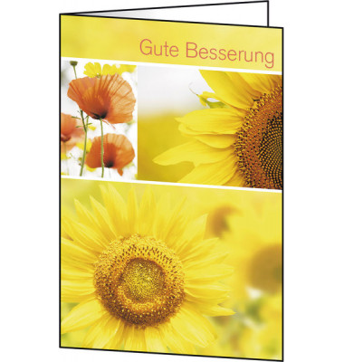 weitere Grußkarten Genesung DS047 115mm x 170mm (BxH) 220g Gute Besserung farbig Glanzkarton FSC
