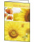 weitere Grußkarten Genesung DS047 115mm x 170mm (BxH) 220g Gute Besserung farbig Glanzkarton FSC
