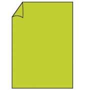 Briefbogen Paperado A4 100g maigrün 16400122