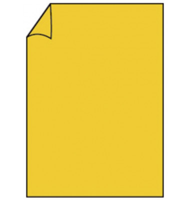 Motivpapier Paperado 16400143, ocker, A4, 100g