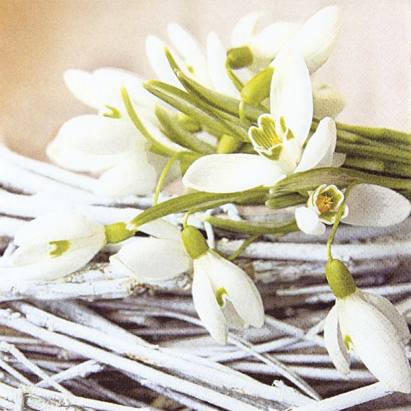 4022664225847 - Motivservietten Frühling Schneeglöckchen 33x33cm 1 4-Falz 4022664225847 211426 20 Stück 4022664225847 - Motivservietten Frühling Schneeglöckchen 33x33cm 1 4-Falz 4022664225847 211426 20 Stück