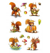 3368 Schmucketikett Eichhörnchen