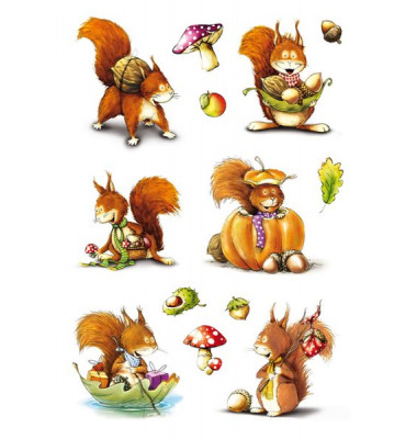 3368 Schmucketikett Eichhörnchen
