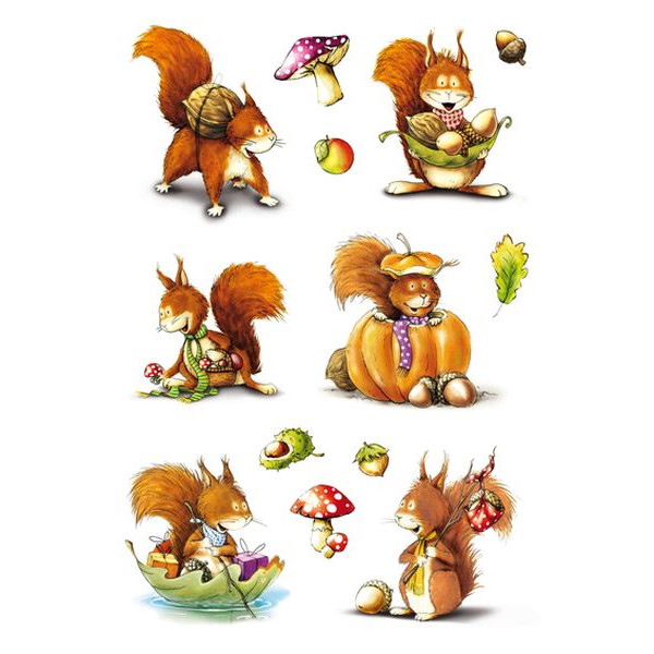 10 Stück Herma 3368 Schmucketikett Eichhörnchen 4008705033688 Herma 18 Stück