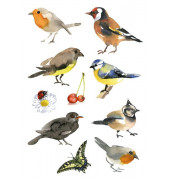 3351 Decorsticker Schmucketikett Vögel