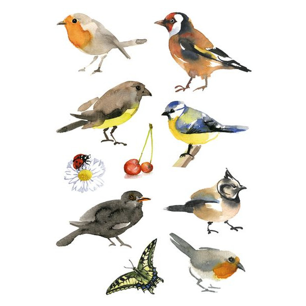 10 Stück Herma 3351 Decorsticker Schmucketikett Vögel 4008705033510 Herma 30 Stück