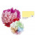 91012  20g  5Bg Blumenseide 50x70cm zitr.gelb