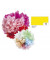91014  20g  5Bg Blumenseide 50x70cm altgold