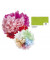 91051  20g  5Bg Blumenseide 50x70cm hellgr&uuml;n