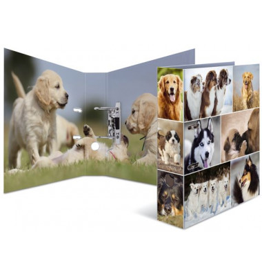 Motivordner Motiv-Ordner Hunde Tiere Hunde 7165, A4 70mm breit