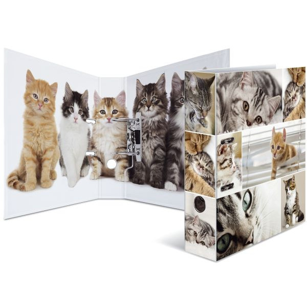 4008705071666 - Motivordner Motiv-Ordner Katzen Tiere Katzen 7166 A4 70mm breit 4008705071666 Herma