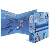 Motivordner Delfine Delfine 7167, A4 70mm breit