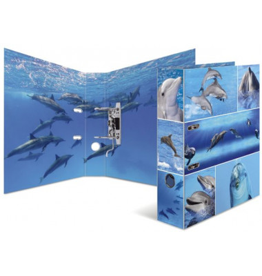7167 Motivordner Tiere A4 Delfine