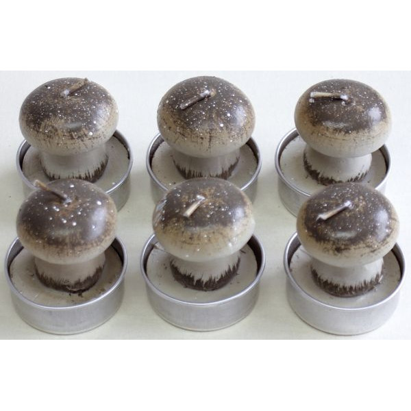 9004546361626 - Teelicht N19076-3020 Pilz braun Ø 40mm ca 2 Stunden Brenndauer 9004546361626 PBS 6 Stück 9004546361626 - Teelicht N19076-3020 Pilz braun Ø 40mm ca 2 Stunden Brenndauer 9004546361626 PBS 6 Stück
