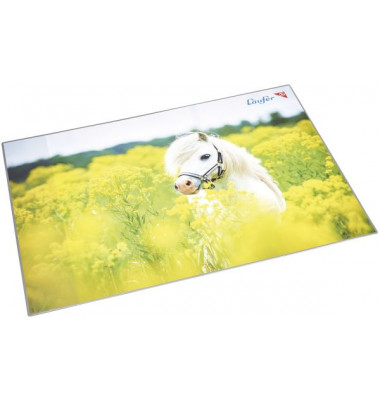 Schreibunterlage 46651 mehrfarbig Pferd im Rapsfeld 53x40cm