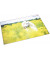 Schreibunterlage 46651 mehrfarbig Pferd im Rapsfeld 53x40cm