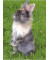 Zeichenmappe A4 Kaninchen 46307