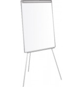 Flipchart, EA2306046, 70x100cm, grau, mit Beinen, mit 2 Seitenarmen