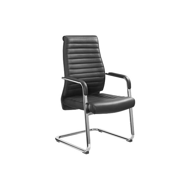 4032376008669 - Mayer Sitzmöbel Schwingstuhl myDELUXE Schwarz Freischwinger 4032376008669 - Mayer Sitzmöbel Schwingstuhl myDELUXE Schwarz Freischwinger