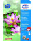 Fotopapier Premium 2482-20, A4, für Inkjet, 300g weiß hochglänzend einseitig bedruckbar