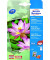 Fotopapier Premium C2553-40, 10x15cm, für Inkjet, 300g weiß hochglänzend einseitig bedruckbar
