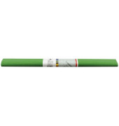 Bastelkrepppapier Aquarola 50x250cm hellgrün 32g 82061-4655