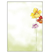 DP123 50BL 90g Design Papier A4 Spring Flowers