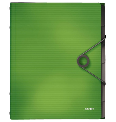 Ordnungsmappe Solid 4569-10-50, 6-teilig blanko, gr&uuml;n, A4, 6 F&auml;cher