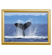 Plakat-Klapprahmen Standard, KRA3G25GOLD, gold, A3, Aluminium