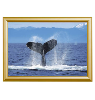 Plakat-Klapprahmen Standard, KRA3G25GOLD, gold, A3, Aluminium