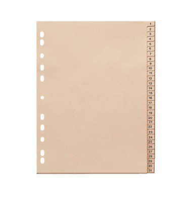 Kartonregister 846131-1110-81, 1 bis 31, A4, 110 g/m², chamois Taben, 31-teilig