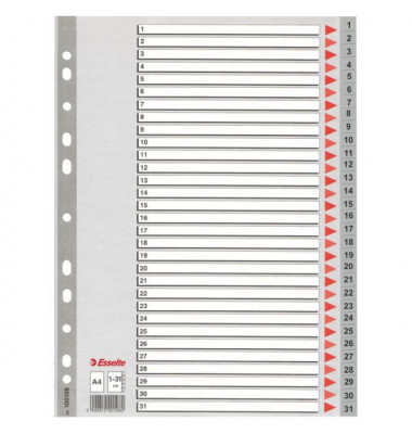 Kunststoffregister 100108 1-31 A4 0,12mm graue Taben 10-teilig