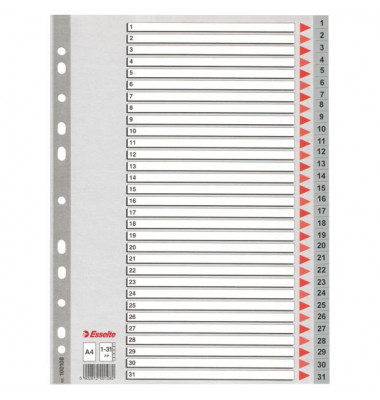 Kunststoffregister 100108, 1 bis 31, A4, 120µm, graue Taben, 31-teilig