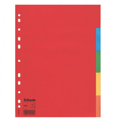 Kartonregister 100199, 5-teilig blanko, A4, 160 g/m², farbige Taben, 5-teilig
