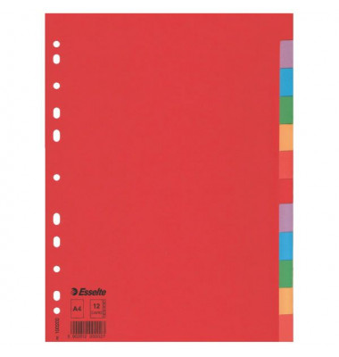 Kartonregister 100202, 12-teilig blanko, A4, 160 g/m², farbige Taben, 12-teilig