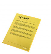 Sichthüllen Standard Plus 54842, A4, gelb, transluzent genarbt, oben & rechts offen, 