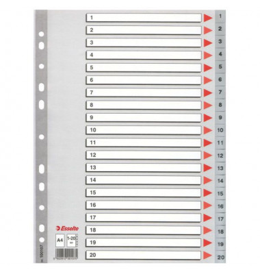 Kunststoffregister 100107, 1 bis 20, A4, 120µm, graue Taben, 20-teilig
