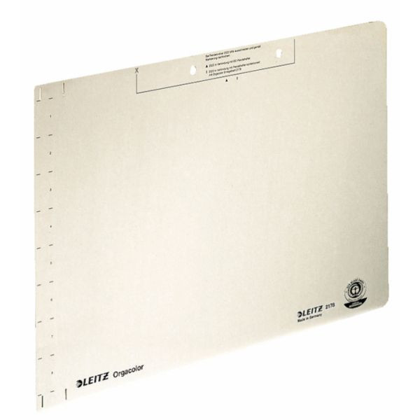 4002432409440 - Einlegeblatt Orgacolor 2178 A4 230g Karton chamois für Pendelhefter 4002432409440 100 Stück 4002432409440 - Einlegeblatt Orgacolor 2178 A4 230g Karton chamois für Pendelhefter 4002432409440 100 Stück