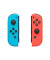 Joy-Con Controller 2510166