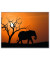 Wandbild Elefant 1CCF60X80.35.07C