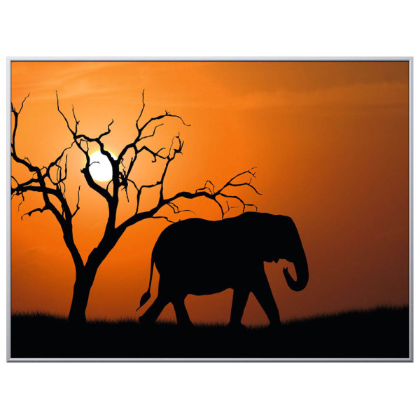 3660141890846 - Wandbild Elefant 1CCF60X803507C 3660141890846 - Wandbild Elefant 1CCF60X803507C
