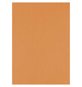 Umschlagkarton UMBR300-OR A4 Karton 300 g/m² orange Lederstruktur