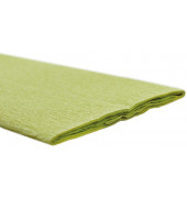Bastelkrepppapier 50x250cm weißgrün 32g 12061-145