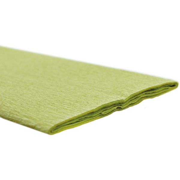 10 Stück Werola Bastelkrepppapier 50x250cm weißgrün 32g 12061-145 4005063001458 Werola 2 Meter