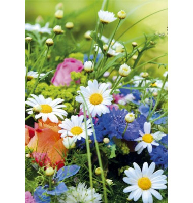 Briefkarten 45-4901 ca. 12,5x8,9 cm