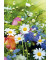 Briefkarten 45-4901 ca. 12,5x8,9 cm Blumen