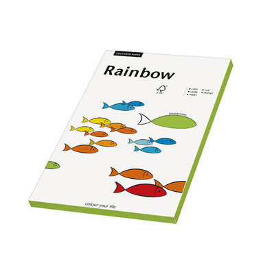 Shuraba Slijm Gevoelig voor Rainbow Coloured Paper intensiv grün A5 120g Kopierpapier 250 Blatt -  Bürobedarf Thüringen